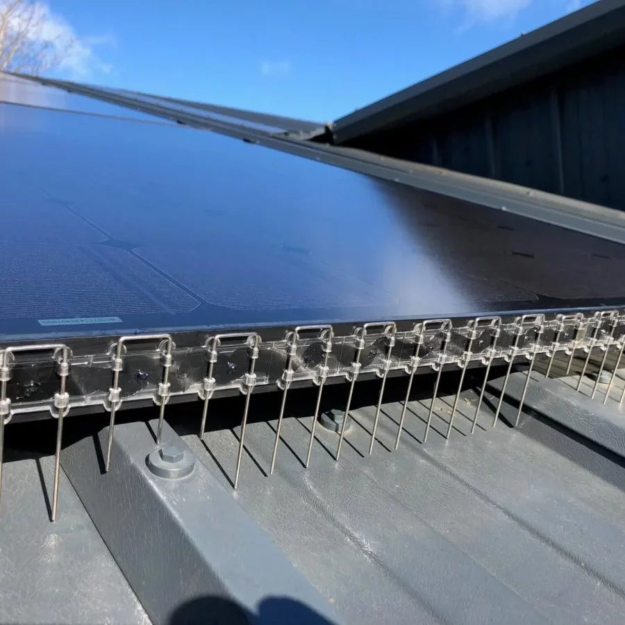 Bird Deterrent Solutions for Solar Panels
