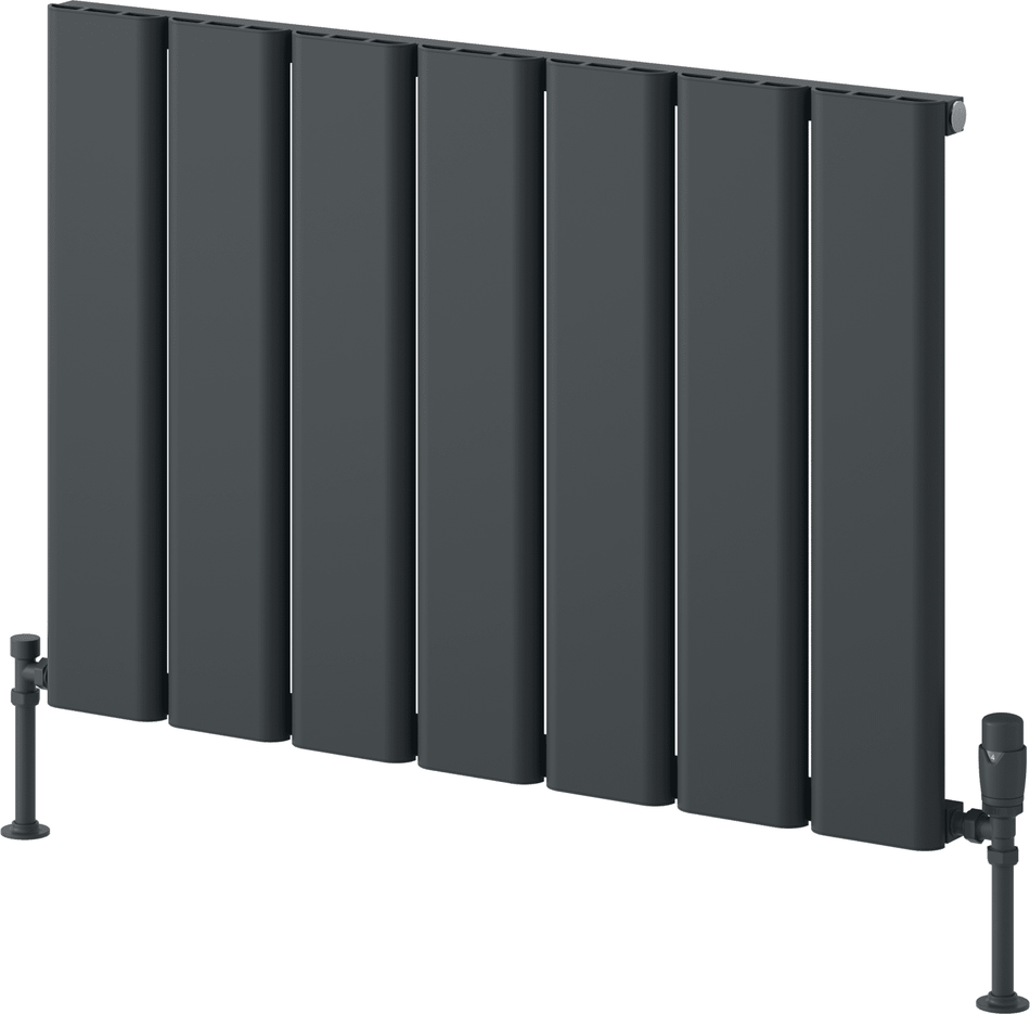 Reina Caldaro A-CDR060087A Anthracite Horizontal Radiator 870mm x 600mm
