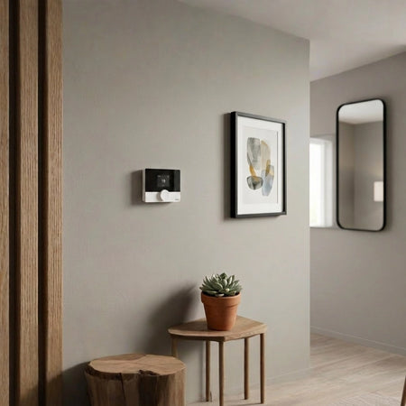 Modern interior with a wall-mounted baxi thermostat, framed artwork, and a potted plant.