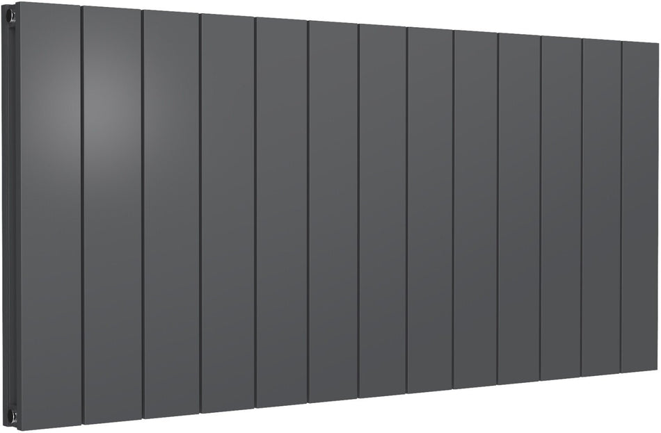 Reina Casina A-CSN060123AS Single Anthracite Textured Horizontal Radiator 1230mm x 600mm