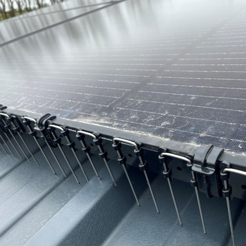 EnviroGuard 130mm Adjustable Solar Panel Spikes (Pack of 50) — Black — Stainless Steel Bird Deterrent