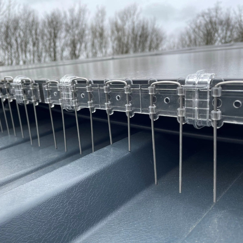 EnviroGuard 130mm Adjustable Solar Panel Spikes (Pack of 50) — Clear — Stainless Steel Bird Deterrent