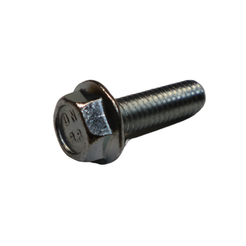 GSE Ground Mount M6 Screw & Washer