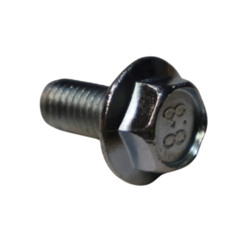 GSE Ground Mount M10 Screw and Washer